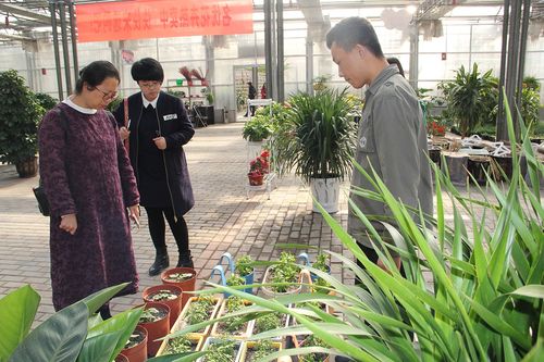 参观花卉基地名称? 参观花卉基地名称怎么写!