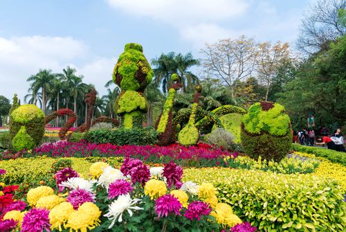 广州地区常用园林花卉? 广州地区常用园林花卉有哪些!