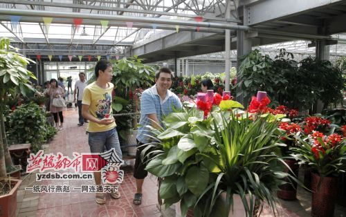 西郊花卉市场搬迁? 西郊花卉市场搬迁最新消息!