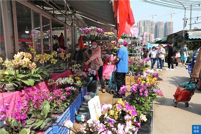 广州附近哪有花卉批发? 广州附近哪有花卉批发市场!