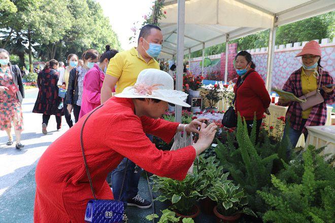 温江北林花卉节? 温江北林生态公园!