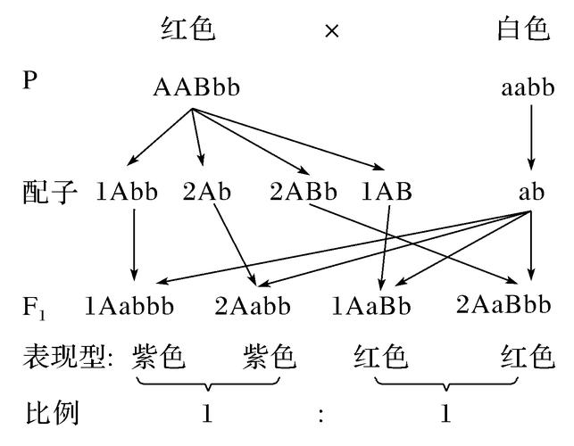 花卉发育的遗传机理? 花卉发育的遗传机理是什么!