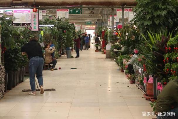 郑州花卉市场对面? 郑州花卉市场对面卖鱼几点关门!