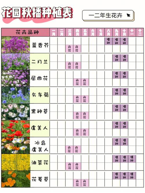 室外种植花卉播种时间? 室外种植花卉播种时间表!