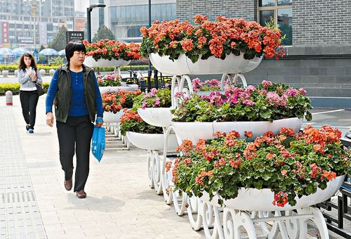 山西花卉景观设计? 山西花卉景观设计公司排名!