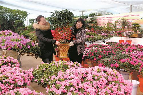 莱芜卖花卉的地方? 莱芜卖花卉的地方在哪!