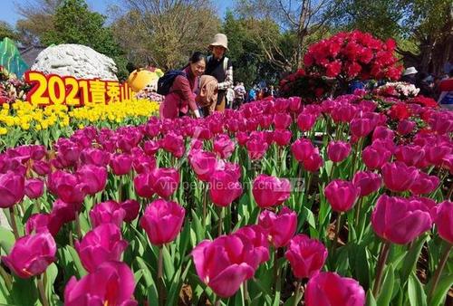 南宁花卉公园春季花? 南宁花卉公园春季花展!