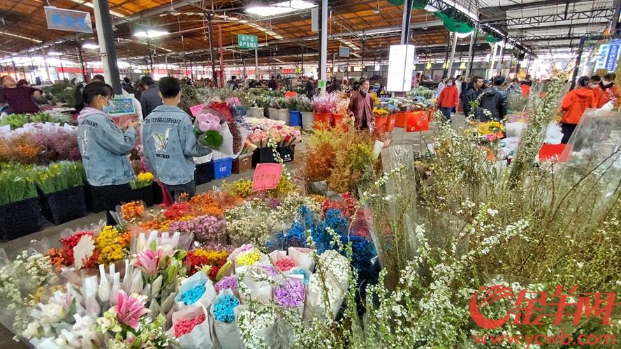 广州花卉市场近况? 广州花卉市场近况如何!