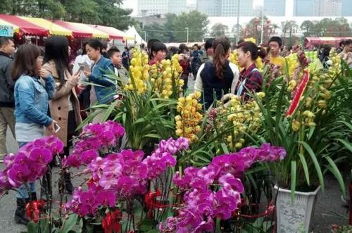 江门蓬江花卉市场? 江门蓬江花卉市场在哪里!