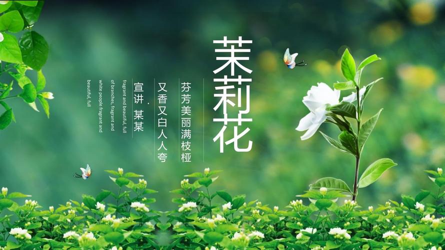 关于介绍花卉的ppt? 介绍花卉ppt免费!