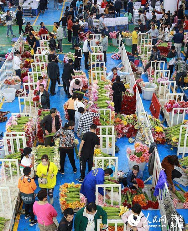 斗南花卉市场摆摊? 斗南花卉市场摆摊怎么样!