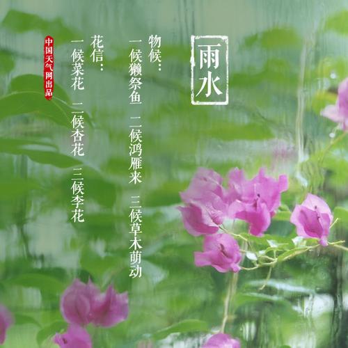 雨水节气对花卉意义? 雨水节气对花卉意义的影响!