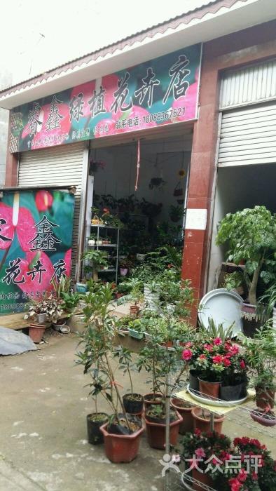 花木花卉门店照片? 花木花卉门店照片大全!